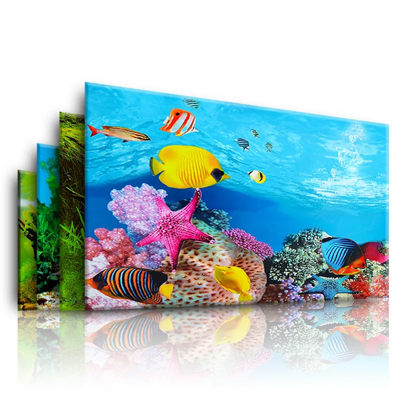Aquarium Fish For Sale Online - Background for Aquarium 3d Sticker Poster