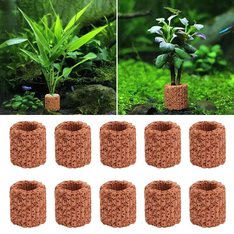 Aquarium Fish For Sale Online - Aquatic Plant Fixed Ring for Aquarium