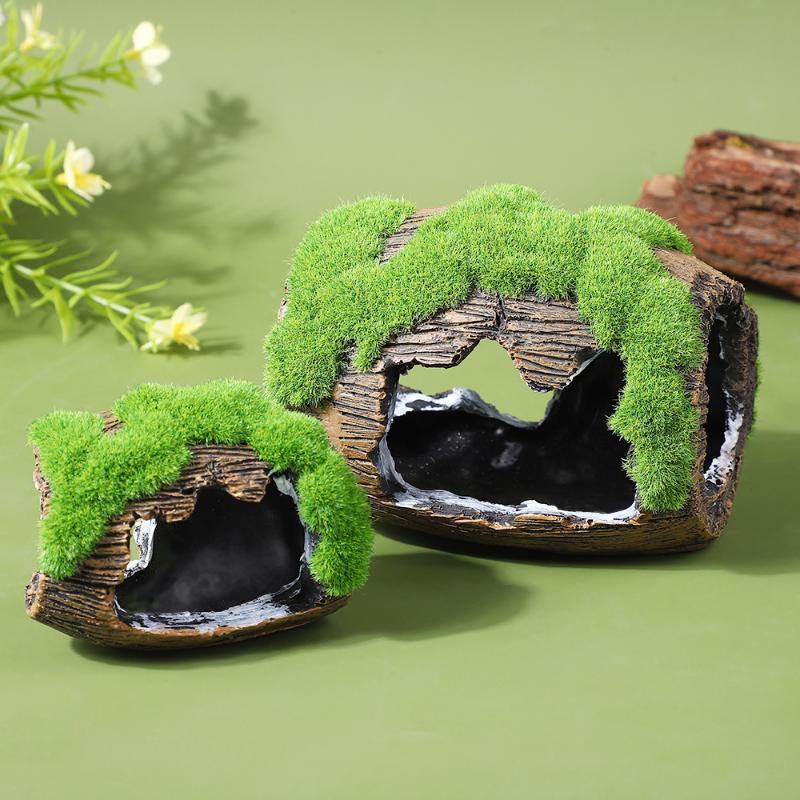 Aquarium Fish For Sale Online - And Hiding Cave Aquarium Landscaping Aquarium
