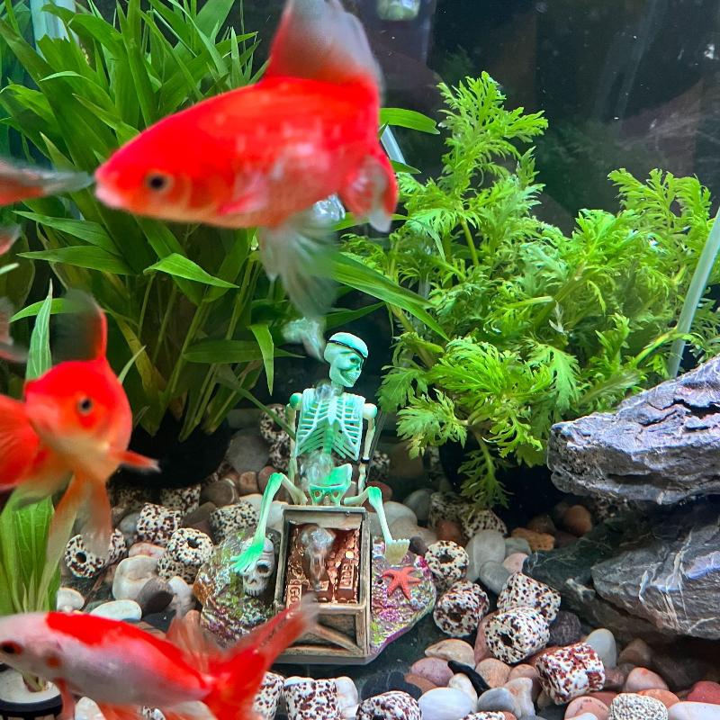 Aquarium Fish Diseases - Fish Tank Aerobic Landscape Bubble Air
