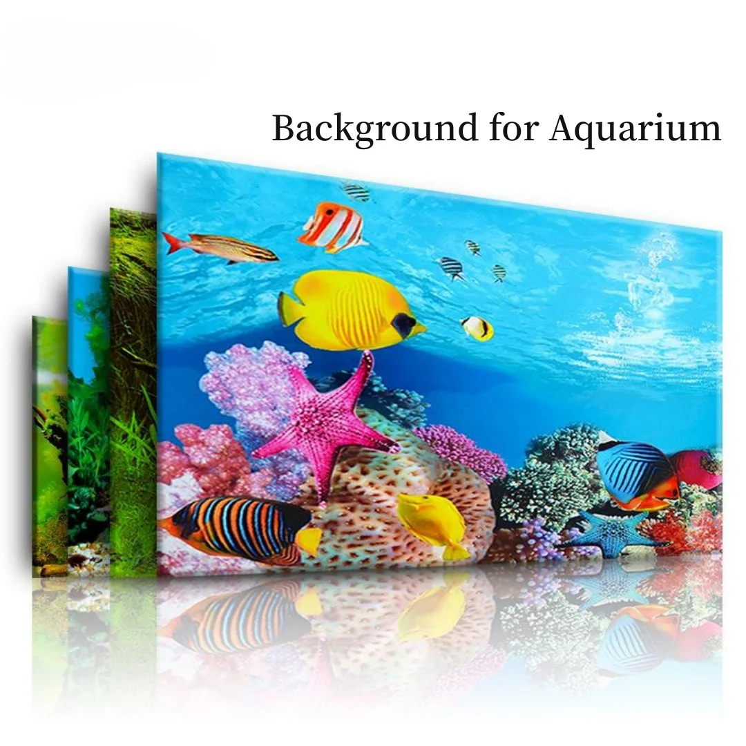 Aquarium Fish For Sale Online - Background Aquarium 3D Sticker Poster Decoration