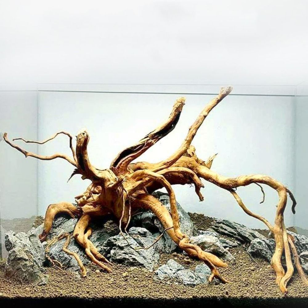Aquarium Fish Diseases - Natural Tree Trunk Aquarium Decoration Wood