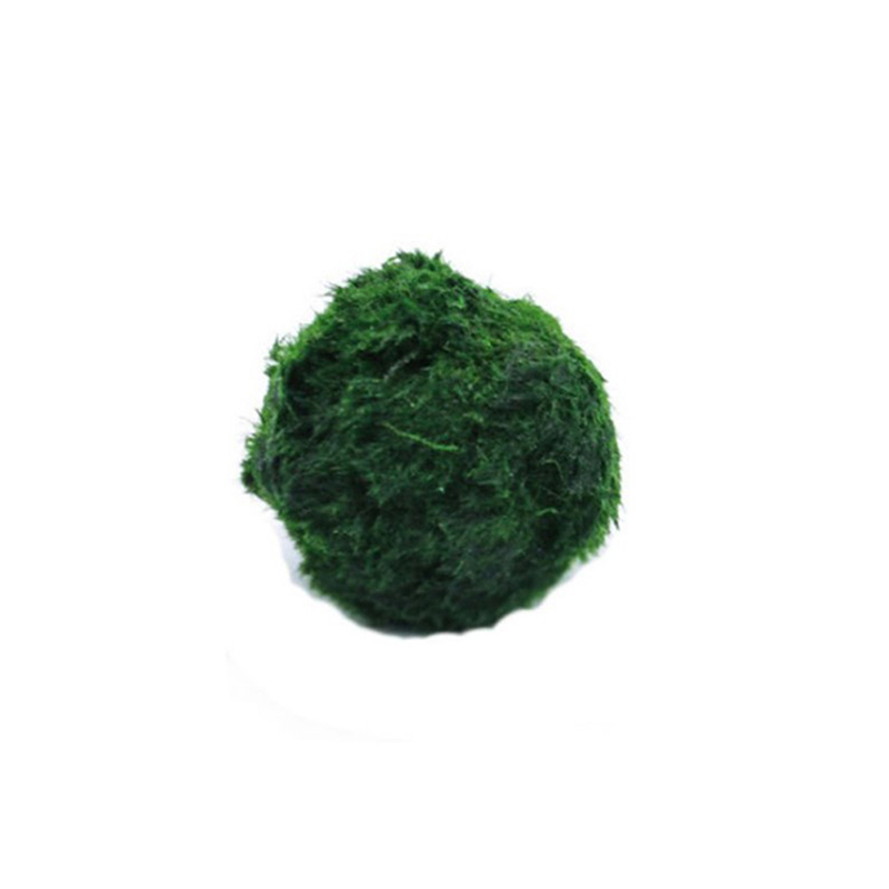 Aquarium Fish Ball - Marimo Moss Balls Live Aquarium Plant