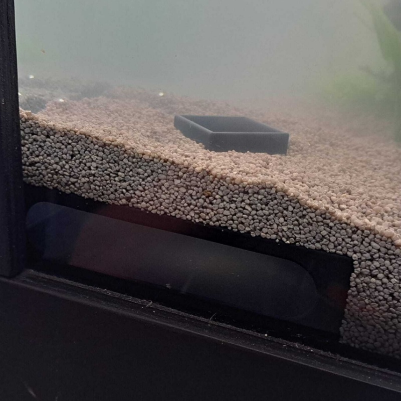 Aquarium Fish Paradise - Half circle Aquarium Corner Fish and