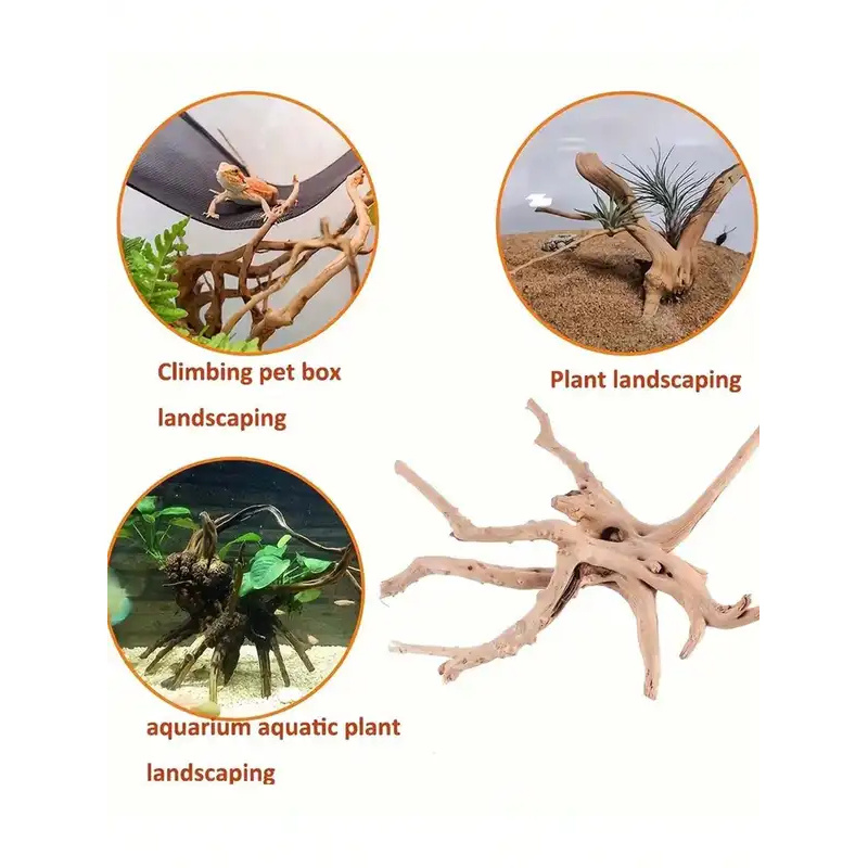 Natural Driftwood for Aquarium - Aquarium Fish Diseases 评论和价格