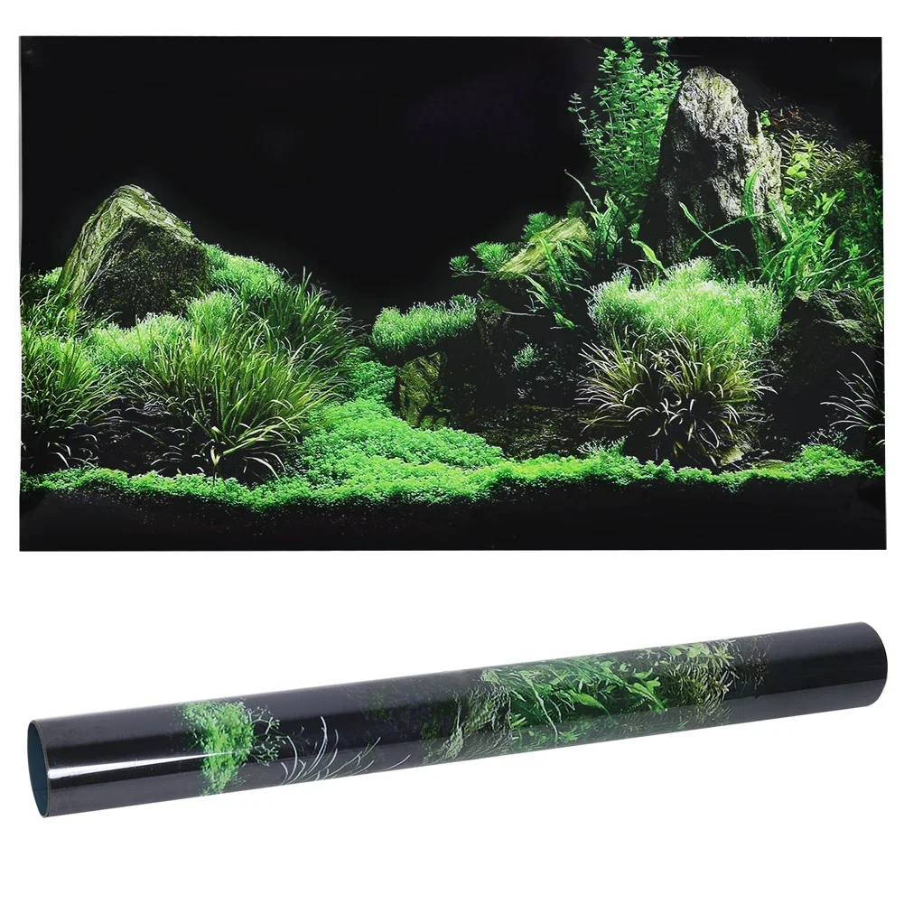 Background for Aquarium 3d Sti - Aquarium Fish For Sale Online 评论和价格