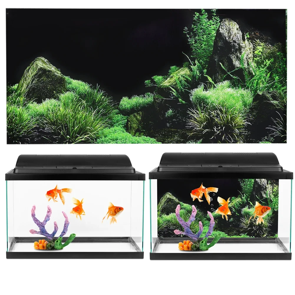 Background for Aquarium 3d Sti - Aquarium Fish For Sale Online 评论和价格