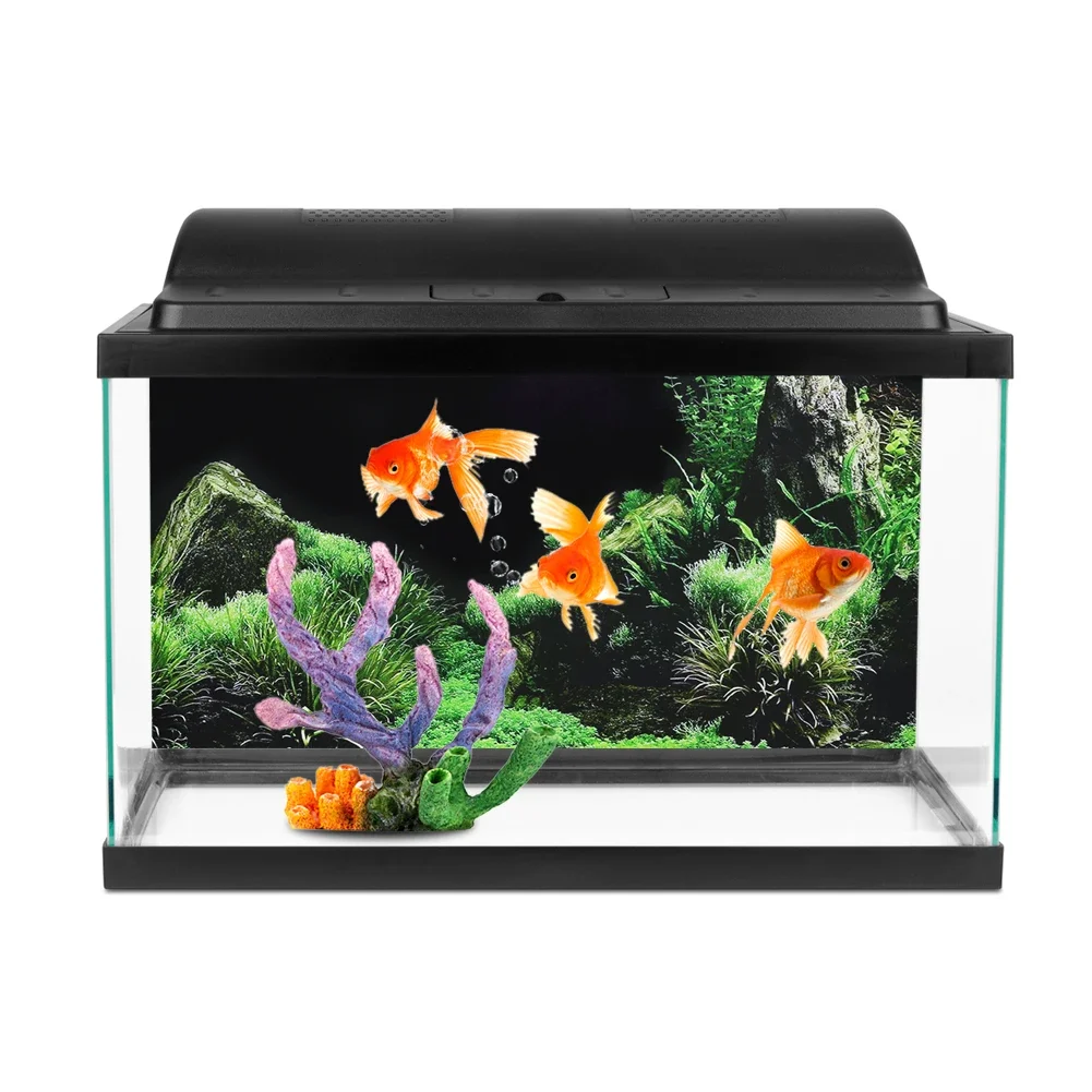 Background for Aquarium 3d Sti - Aquarium Fish For Sale Online 评论和价格