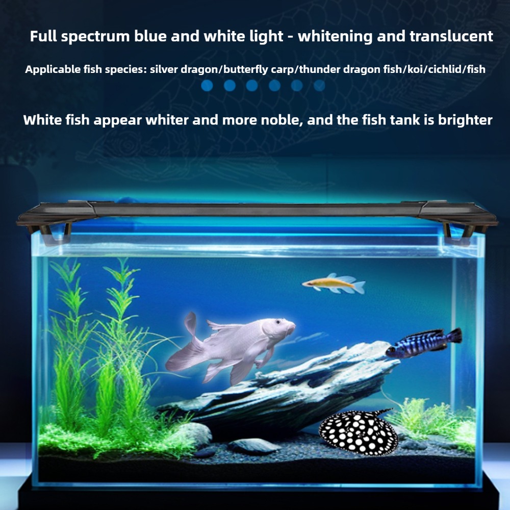 Aquarium LED Light Bar 2ft/3ft - Aquarium Fish Parrot 评论和价格