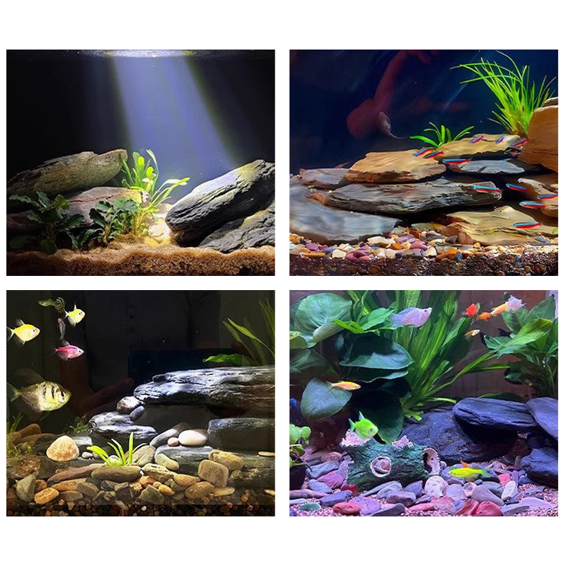 500/1000g Fish Tank Landscape  - Aquarium Fish Farm 评论和价格