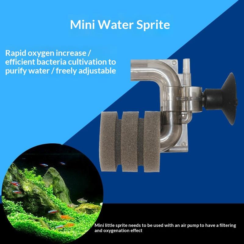 .Hot Sale-Mini Aquarium Sponge - Aquarium Fish For Sale Online 评论和价格