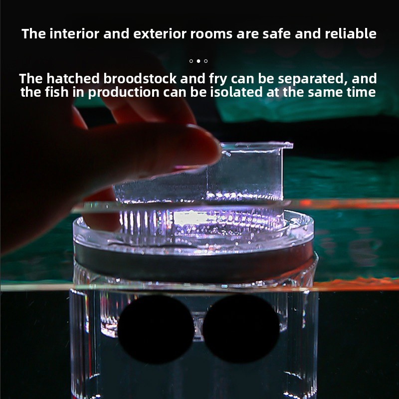Acrylic Breeding Box Aquarium  - Aquarium Fish Parrot 评论和价格