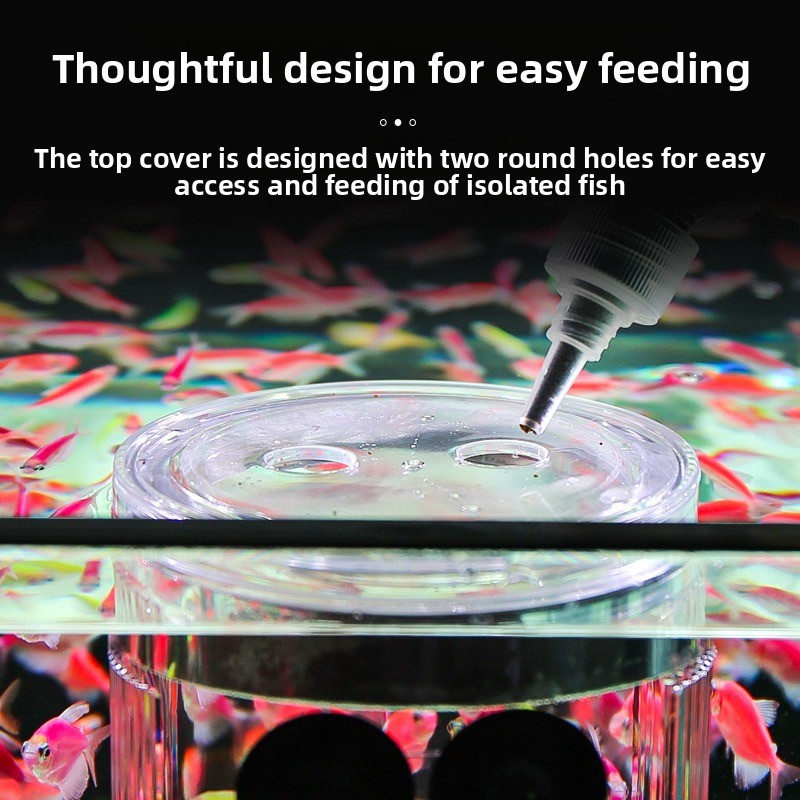 Acrylic Breeding Box Aquarium  - Aquarium Fish Parrot 评论和价格