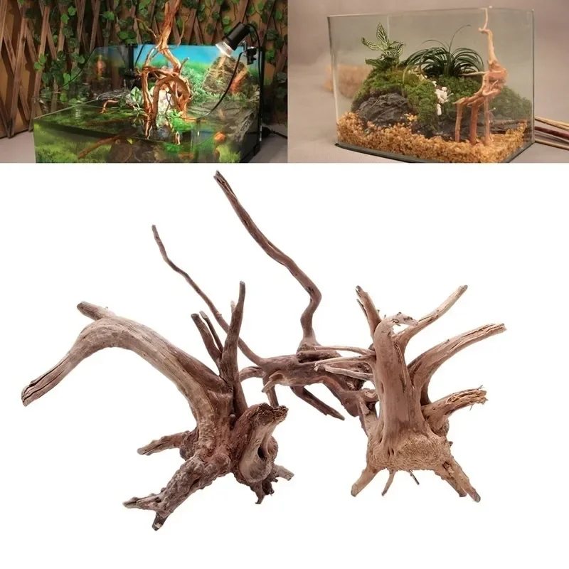 Natural Tree Trunk Driftwood A - Aquarium Fish Diseases 评论和价格