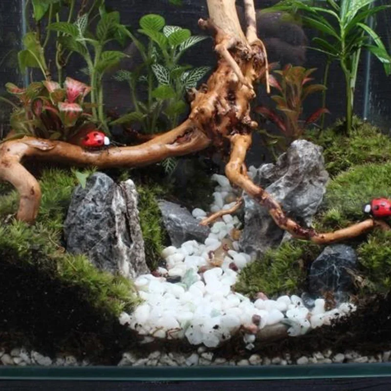 Natural Tree Trunk Driftwood A - Aquarium Fish Diseases 评论和价格