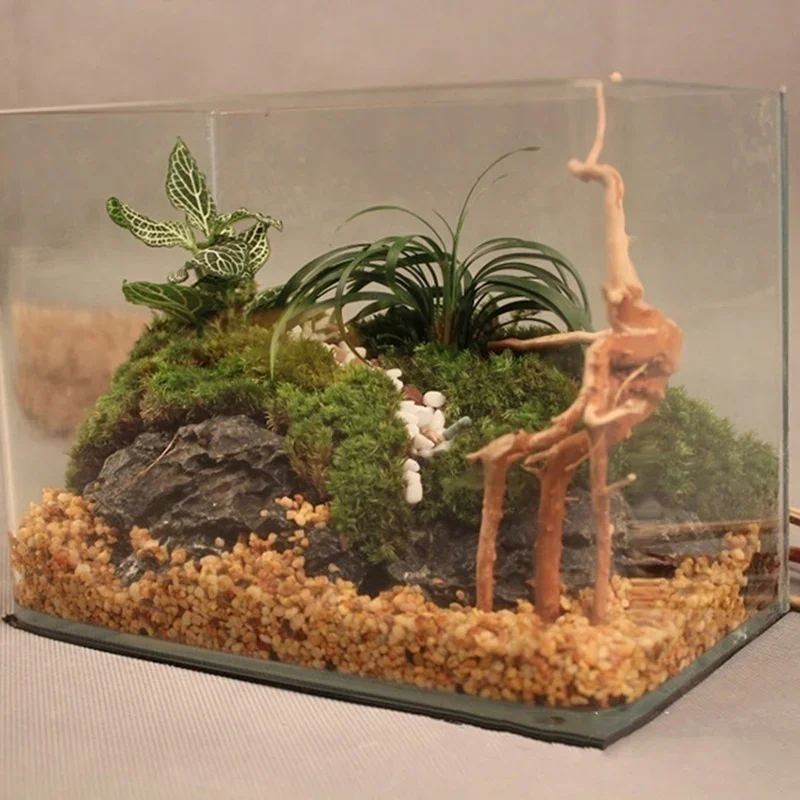 Natural Tree Trunk Driftwood A - Aquarium Fish Diseases 评论和价格