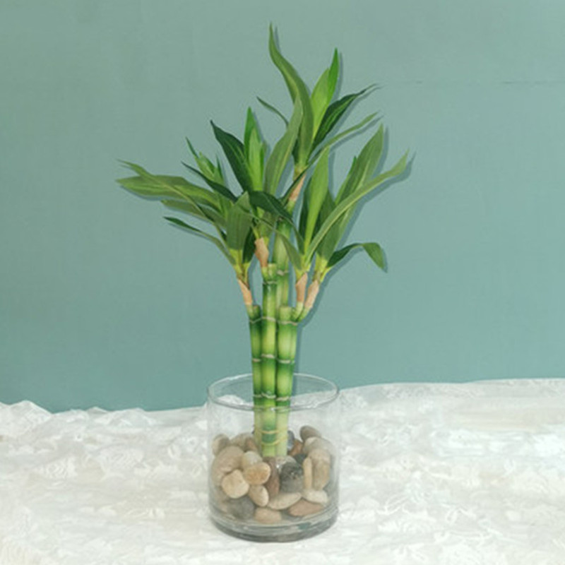 New 40cm rFtificial Lucky Bamb - Aquarium Fish Farm 评论和价格