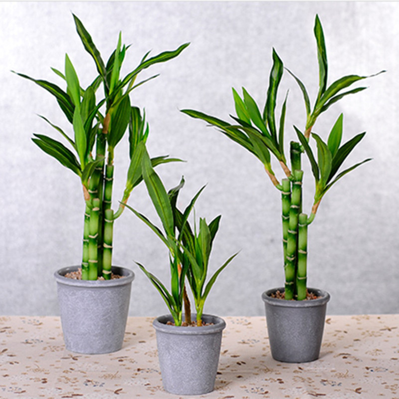 New 40cm rFtificial Lucky Bamb - Aquarium Fish Farm 评论和价格