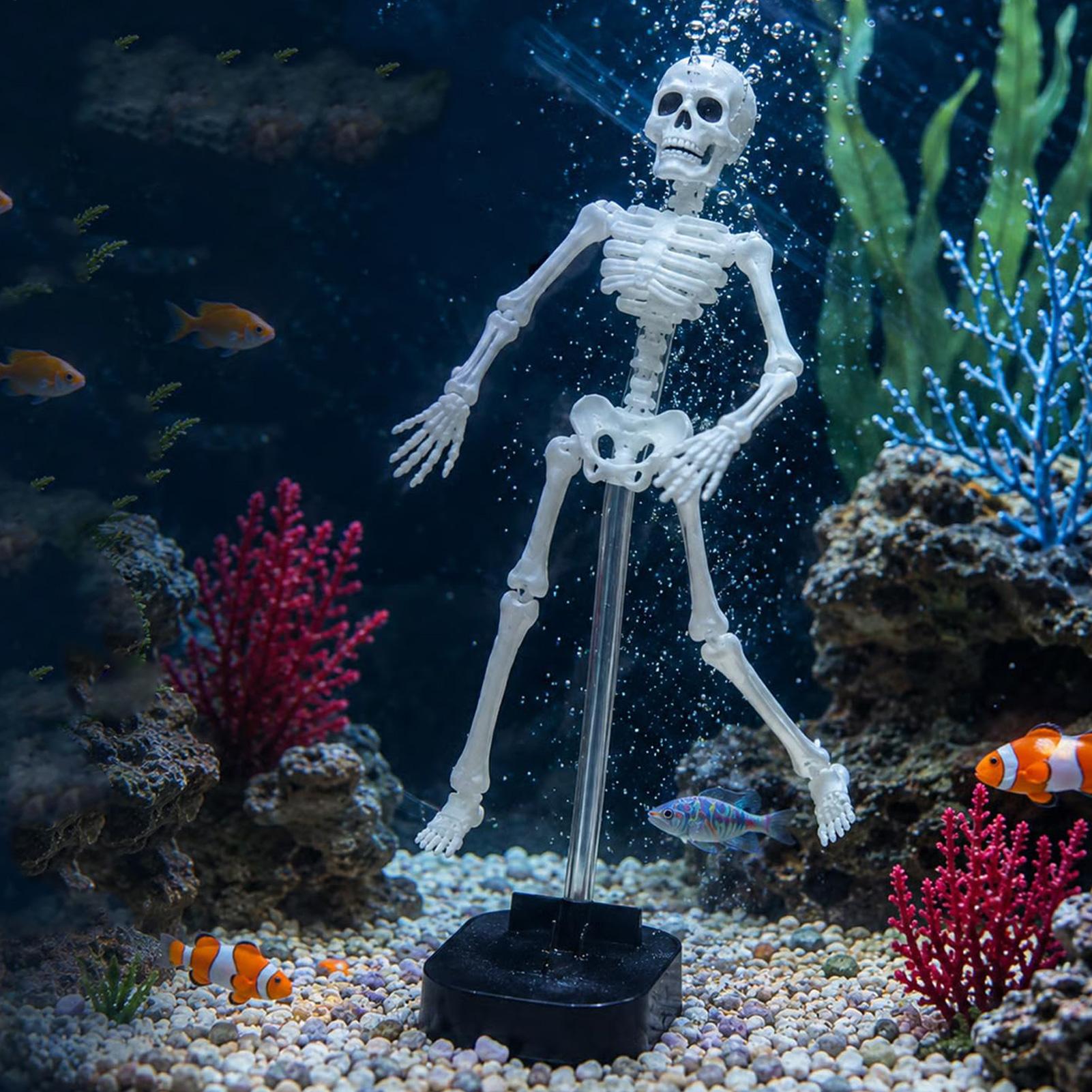 Aquarium Skeleton Decor Hallow - Aquarium Fish Diseases 评论和价格