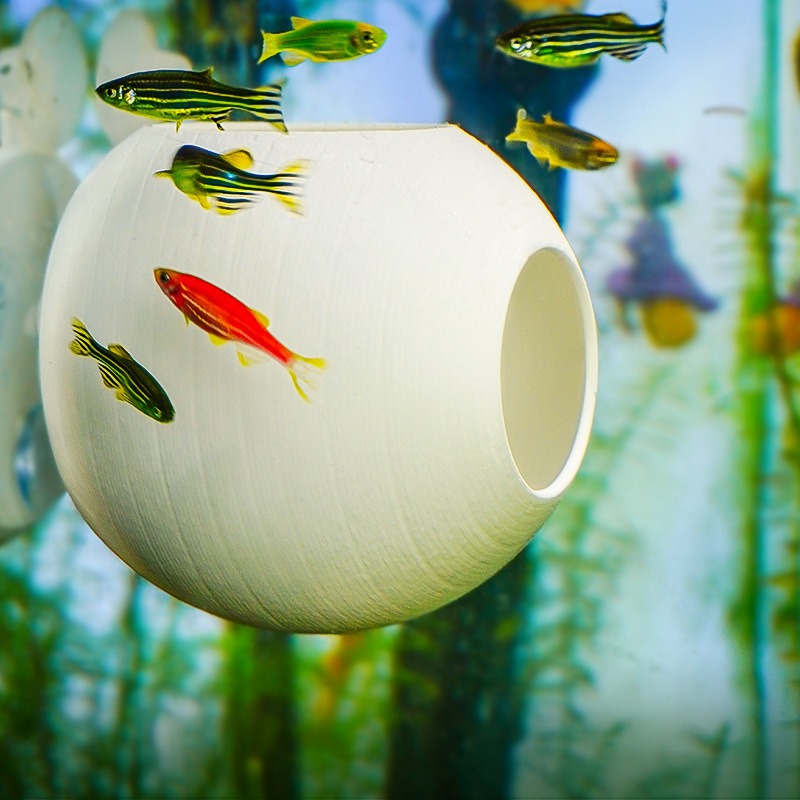 Aquarium Creative Ornament 3D  - Aquarium Fish Parrot 评论和价格