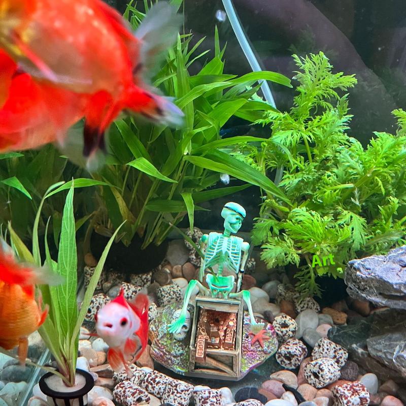 Fish Tank Aerobic Landscape Bu - Aquarium Fish Diseases 评论和价格