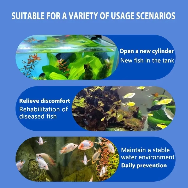SIKEZHAN Fish Disease Treatmen - Aquarium Fish Diseases 评论和价格