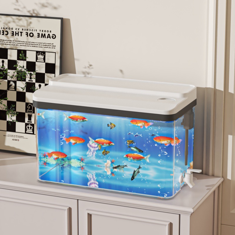 Small Desktop Betta Aquarium K - Aquarium Fish For Beginners 评论和价格