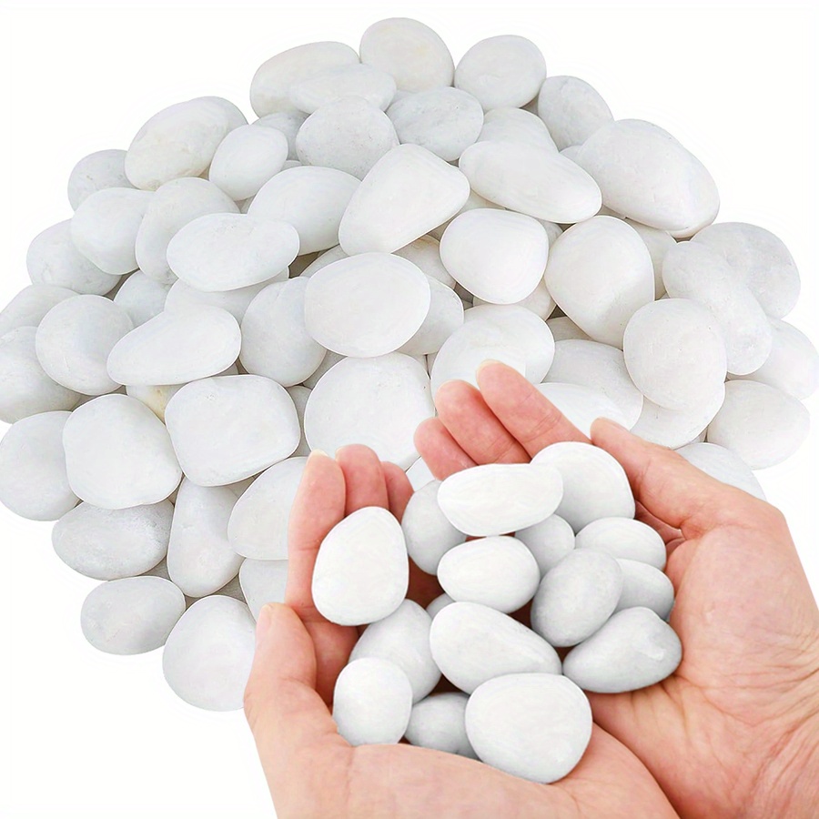 200/400g White High Polished N - Aquarium Fish Farm 评论和价格