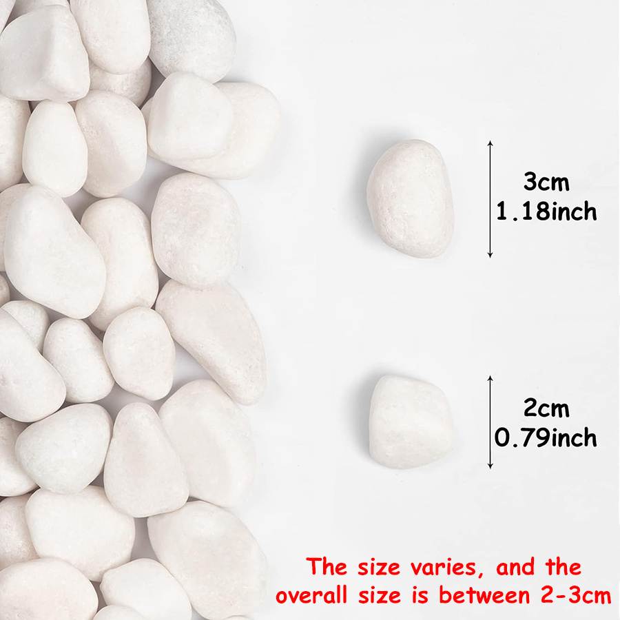200/400g White High Polished N - Aquarium Fish Farm 评论和价格