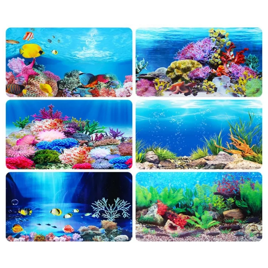 Background Aquarium 3D Sticker - Aquarium Fish For Sale Online 评论和价格