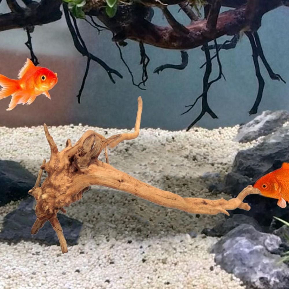 Natural Tree Trunk Aquarium De - Aquarium Fish Diseases 评论和价格