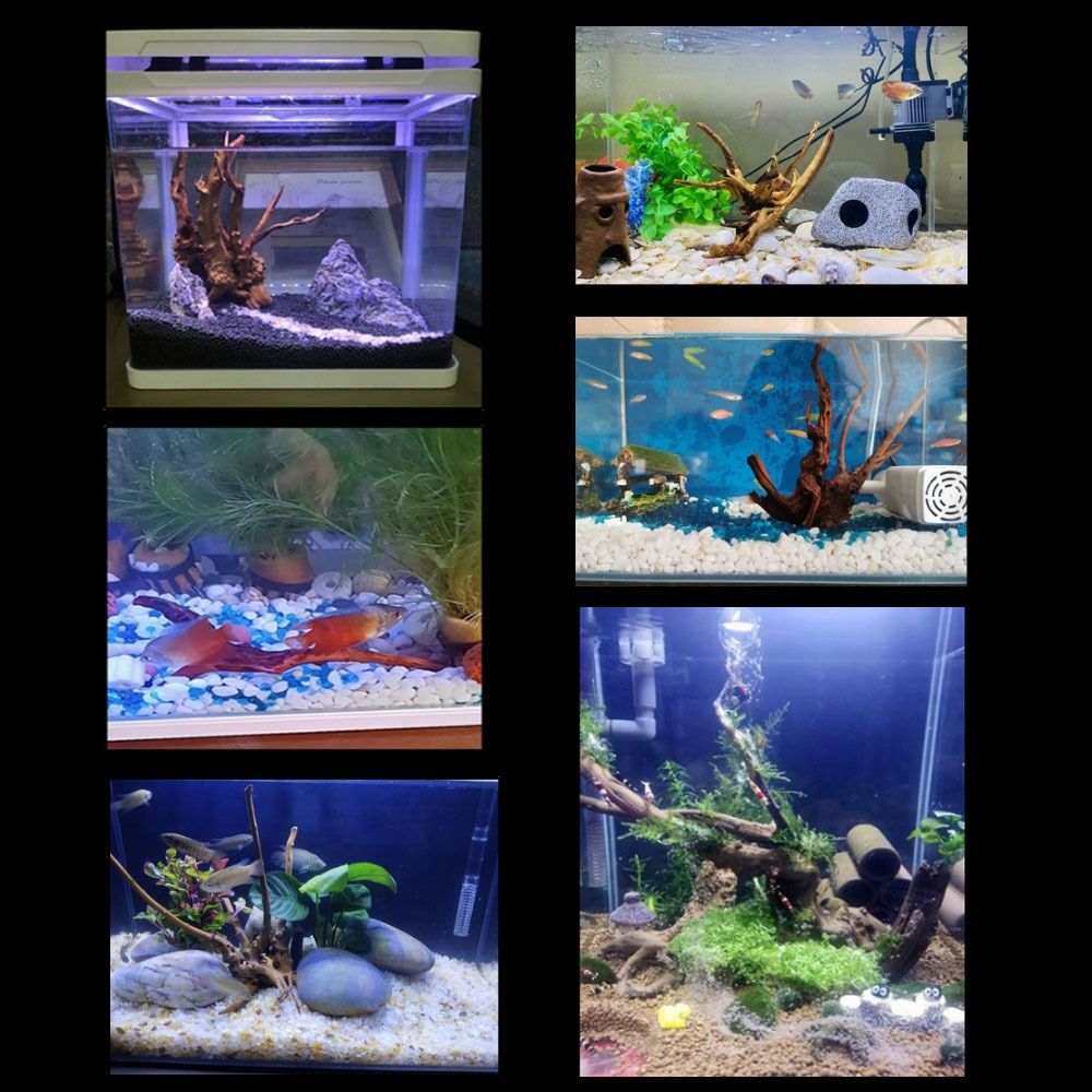 Natural Tree Trunk Aquarium De - Aquarium Fish Diseases 评论和价格