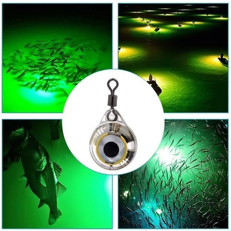 Night Fishing LED Underwater L - Aquarium Fish Diseases 评论和价格