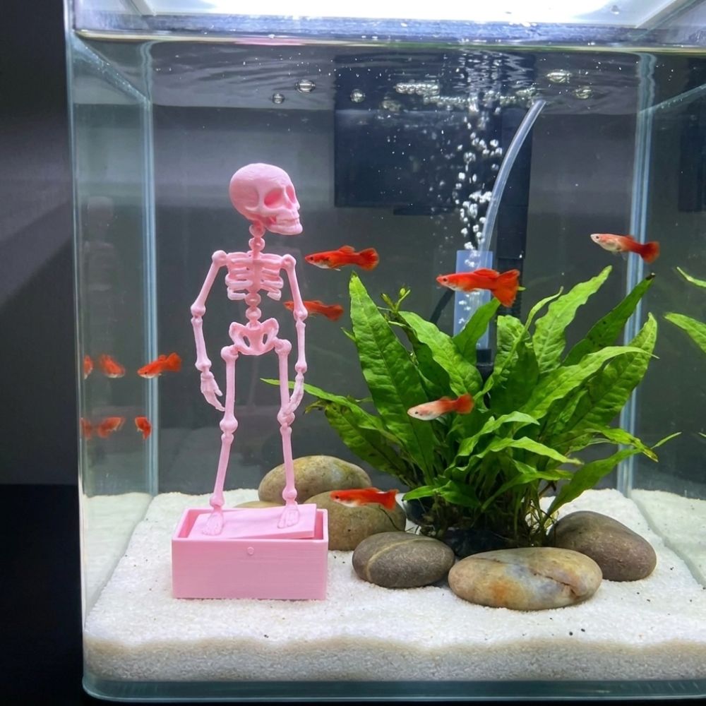 3D Printed Dancing Skeleton Aq - Aquarium Fish Diseases 评论和价格