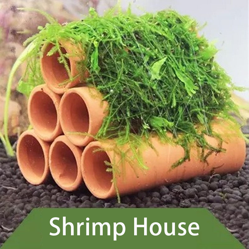 Clay Aquarium Decoration Fish  - Aquarium Fish For Sale Online 评论和价格