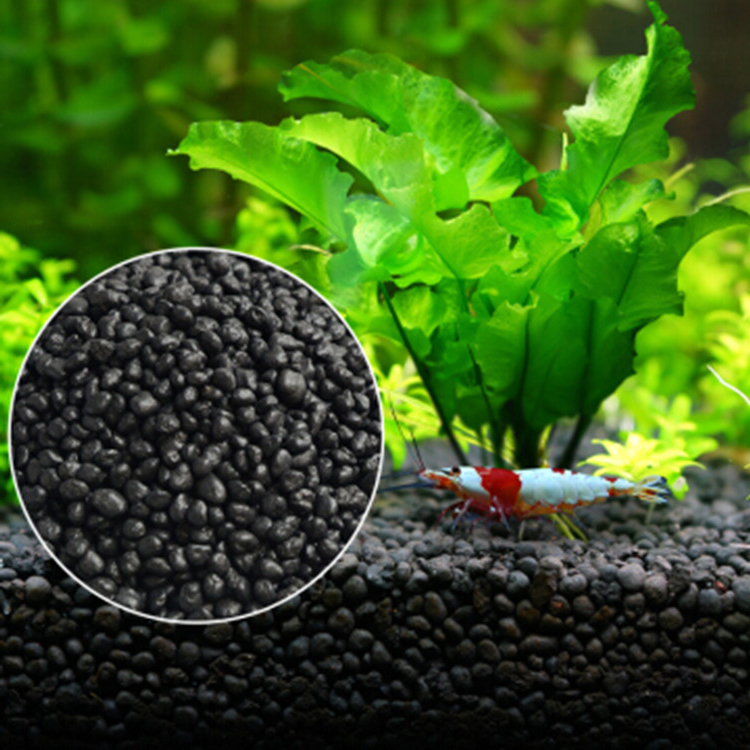 Aquarium Plant Seeds Soil Fish - Aquarium Fish Farm 评论和价格