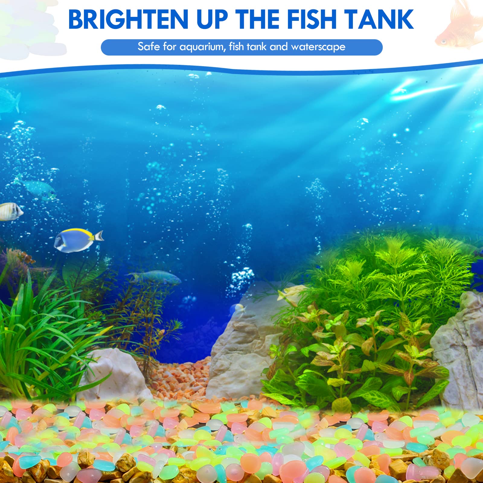 100Pcs Glow in the Dark Garden - Aquarium Fish Farm 评论和价格