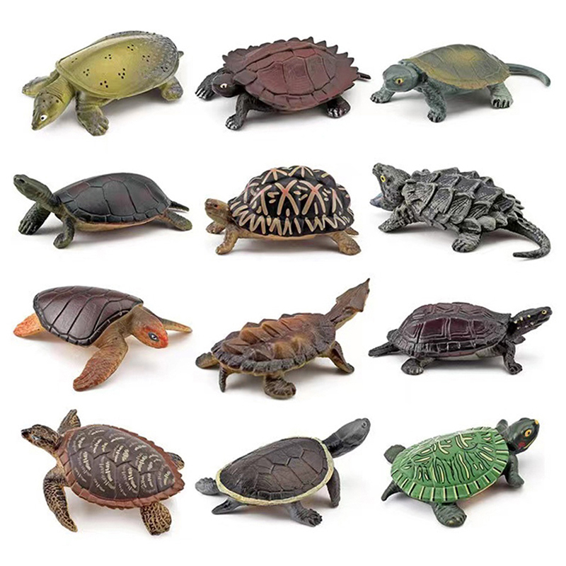 Realistic Turtle Action Figure - Aquarium Fish For Beginners 评论和价格