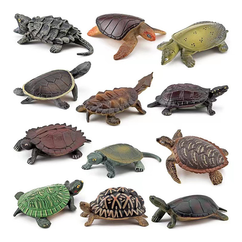 Realistic Turtle Action Figure - Aquarium Fish For Beginners 评论和价格