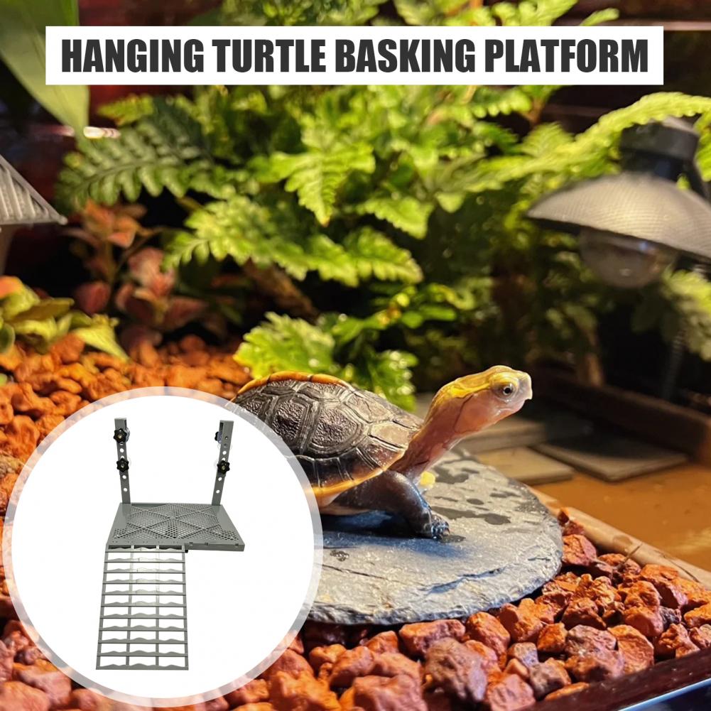 Aquarium Decoration Solid Form - Aquarium Fish Farm 评论和价格