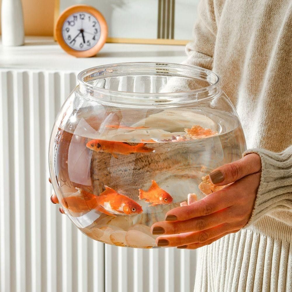 New Transparent Fish Tank Roun - Aquarium Fish For Beginners 评论和价格