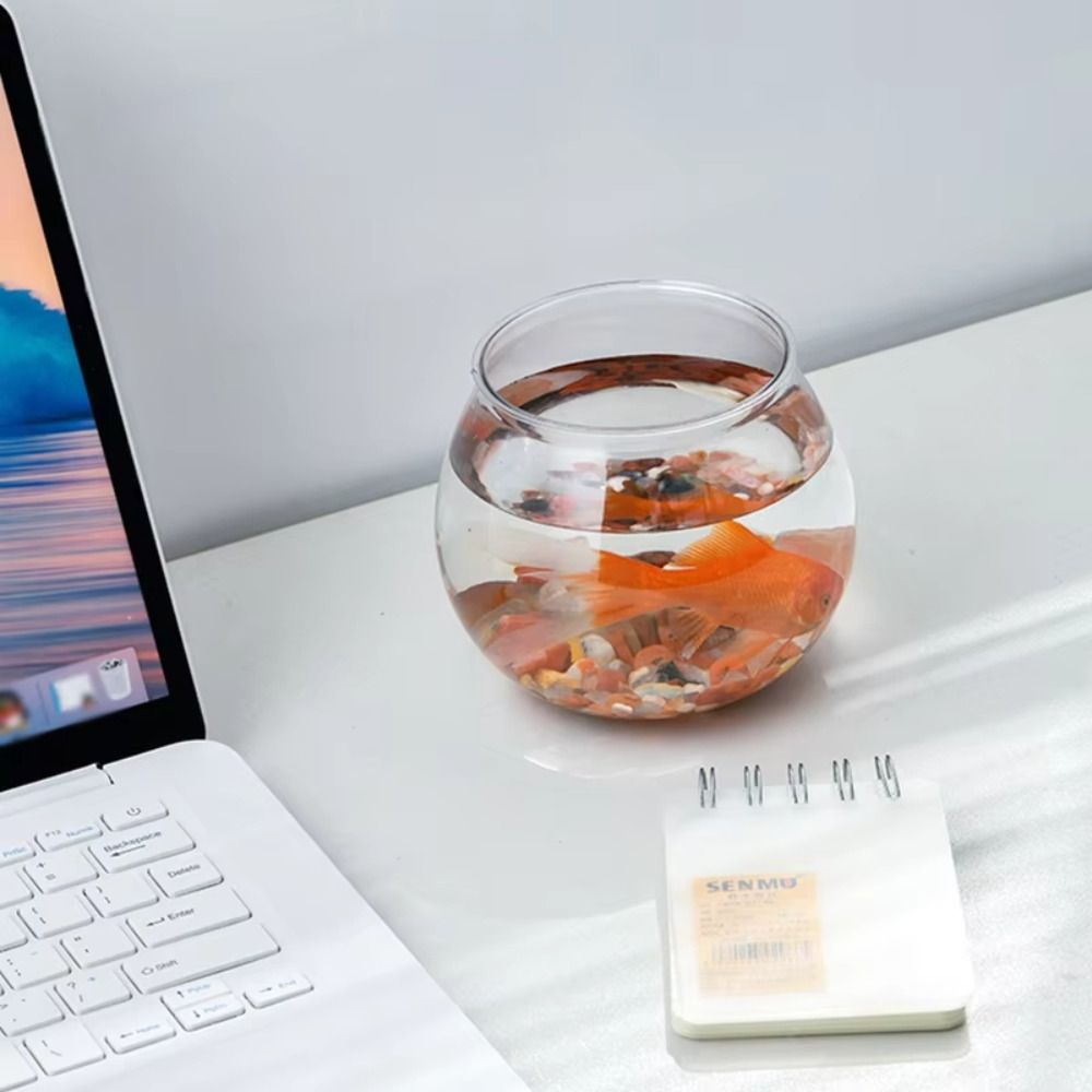 New Transparent Fish Tank Roun - Aquarium Fish For Beginners 评论和价格