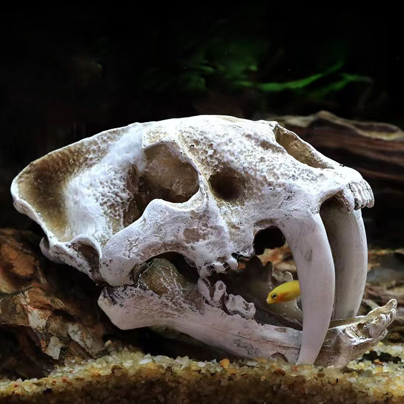 Dinosaur Skull Model Velocirap - Aquarium Fish Diseases 评论和价格