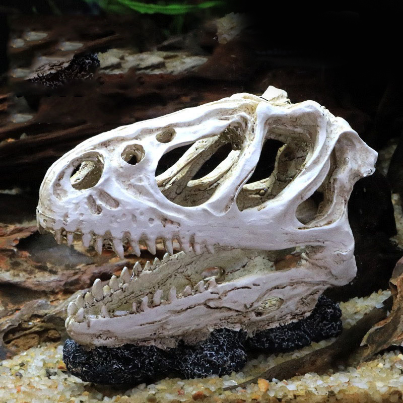 Dinosaur Skull Model Velocirap - Aquarium Fish Diseases 评论和价格