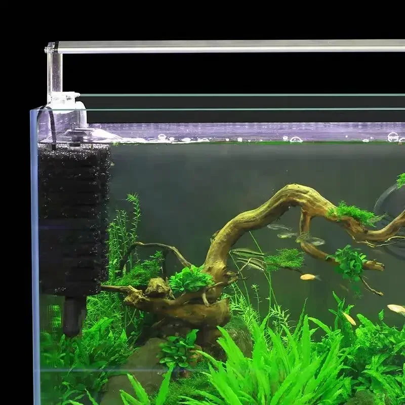 3-IN-1 Clip on Electric Power  - Aquarium Fish Ball 评论和价格