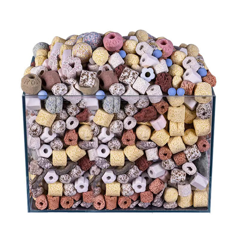 250g 500g 1000g 14 Types Aquar - Aquarium Fish For Sale Online 评论和价格