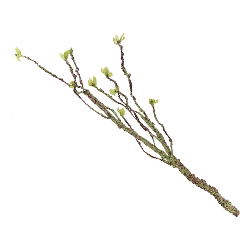 Vines Decor Climbing Branches  - Aquarium Fish Farm 评论和价格