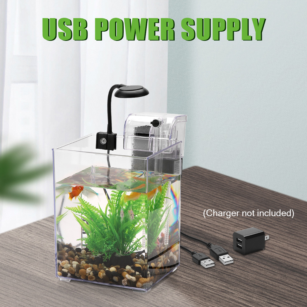 USB Desktop Fish Tank Set-Easy - Aquarium Fish For Beginners 评论和价格