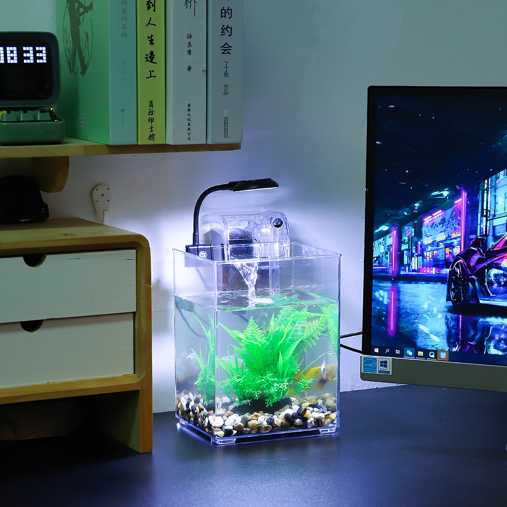 USB Desktop Fish Tank Set-Easy - Aquarium Fish For Beginners 评论和价格
