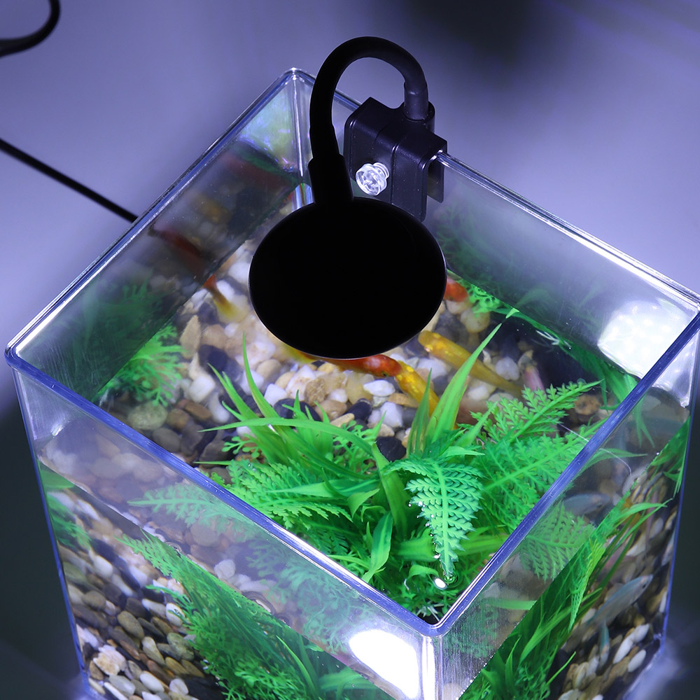USB Desktop Fish Tank Set-Easy - Aquarium Fish For Beginners 评论和价格